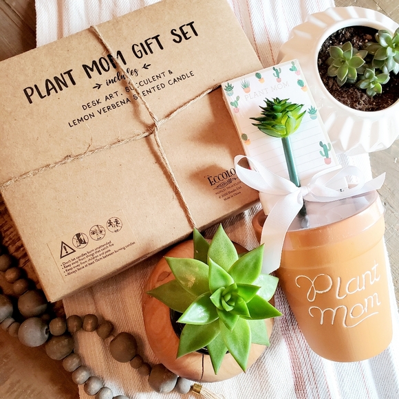 Eccolo 'Plant Mom' 6 Pc Succulent Gift Set - Picture 5 of 5